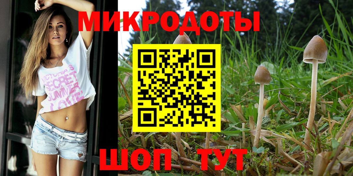 Кимры  Псилоцибиновые грибы мицелий  Галлюциногенные грибы прущие грибы  как найти   Вход с VPN 